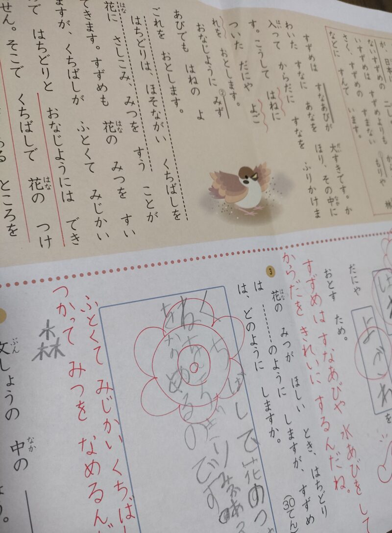 Z会小学1年生｜続ければ書く力が身に付く！焦らなくてOK【てんさく ...